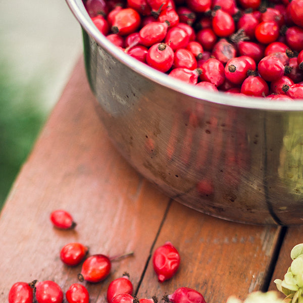 Zesty Thanksgiving Cranberry Sauce