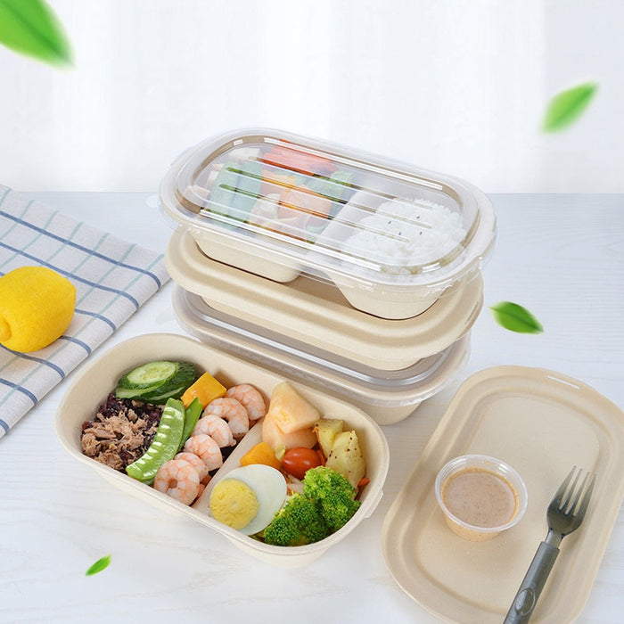 Bamboo Bento Lunch Container