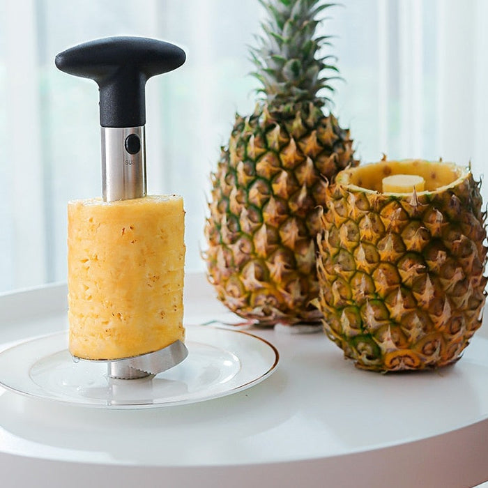 Stainless Steel Easy To Use Pineapple Peeler